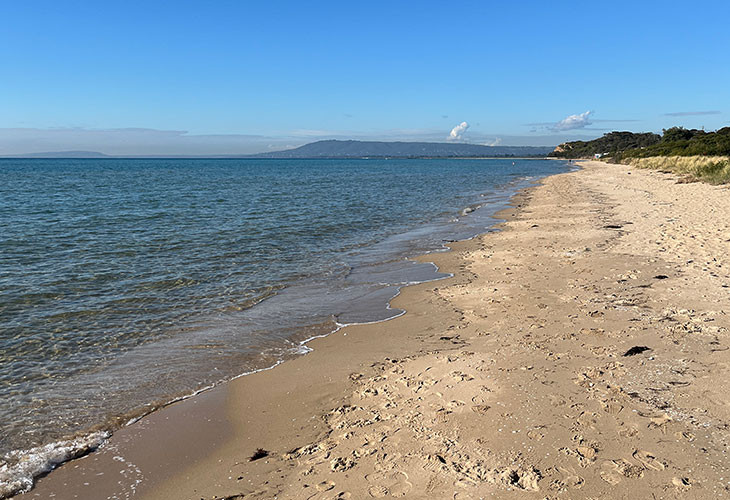 A view of Arthurs Seat from Whitecliffs